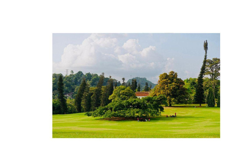 Kandy : All Inclusive City Tour By Tuk Tuk