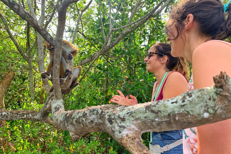 Galle: Koggala River Boat Safari with Monkeys Birds & Nature