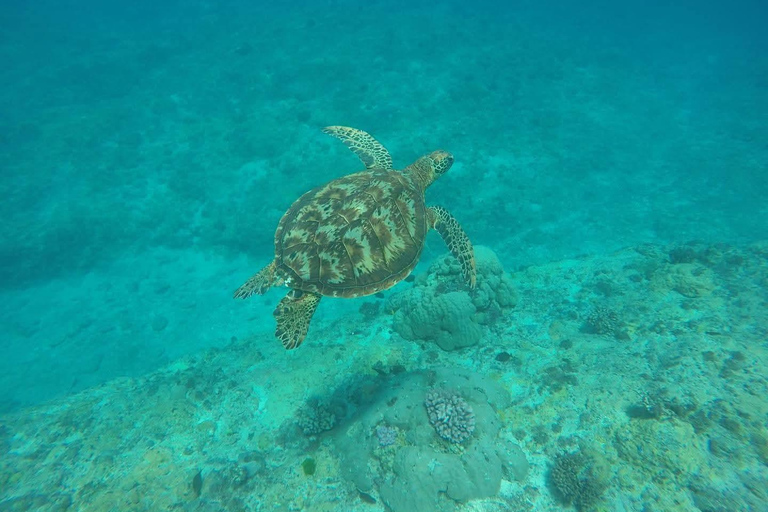 Efate: Snorkeling Adventure with Lunch and Blue Lagoon Visit
