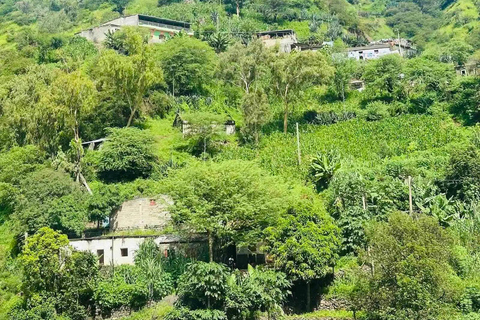 Pico d’Antónia Advanced Hike: Summit Ascent & Panoramic View