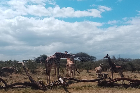 Mombasa: Wildlife Sanctuary Guided Nature Trail Tour Wildlife Sanctuary Guided Nature Trail Tour