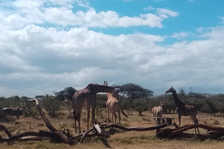 Mombasa: Wildlife Sanctuary Guided Nature Trail Tour Wildlife Sanctuary Guided Nature Trail Tour