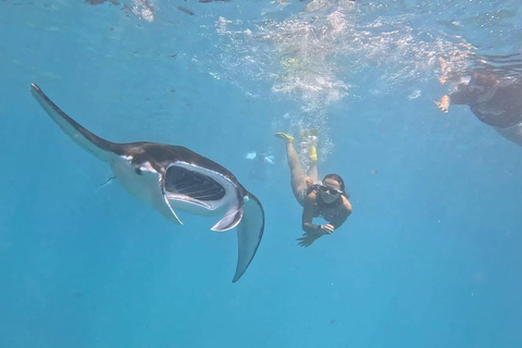 Bali/Nusa Penida: Private Snorkeling With Guide & West Tour Transfer from Sanur Area