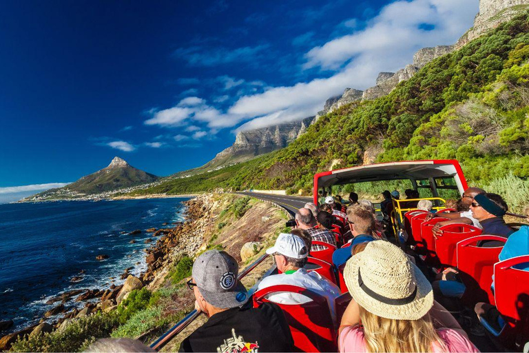 Kaapstad: hop-on-bus &amp; wijnproeverij bij Groot ConstantiaKaapstad: Hop-On Bus &amp; Wijnproeverij bij Groot Constantia