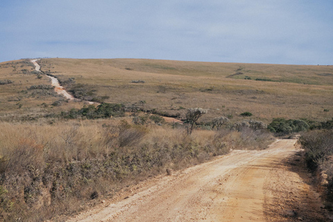 From São Paulo: 5-Day Serra da Canastra Wildlife Safari