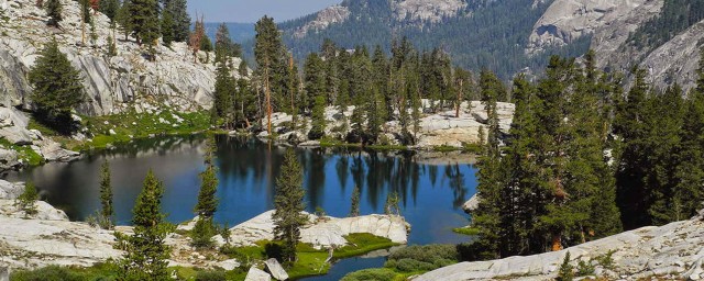 Visit Kings Canyon National Park: Private Tour & Hike in Sequoia National Park