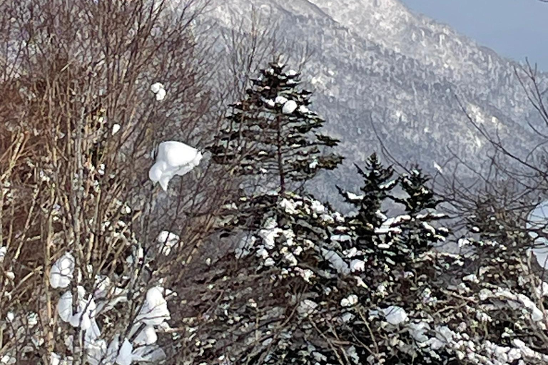 Shikotsu-Toya National Park: Guided Snowshoe Hike and Onsen Shikotsu-Toya National Park: Guided Snowshoe Hike and Onsen.