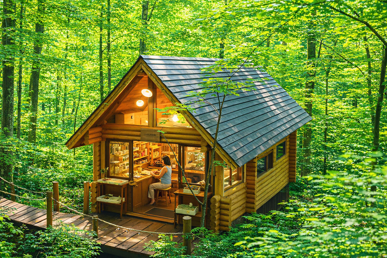 Hokkaido Asahiyama Zoo & Blue Pond Tour & Ningle Terrace 8:00 am meet at Odori Park subway station exit 31