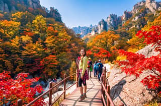 Seoul: Seoraksan, Insel Namiseom und Garden of Morning Calm