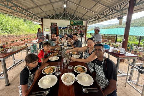 Chiang Mai: Elephant Sanctuary & Thai Cooking Workshop Meeting Point In Town