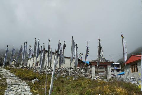 Caminhada no vale de Langtang