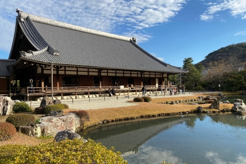 Kyoto : Visite à vélo de la forêt de bambous et du parc des singes dans l'après-midi