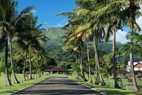Private Island Tour of Martinique with Local Driver-Guide