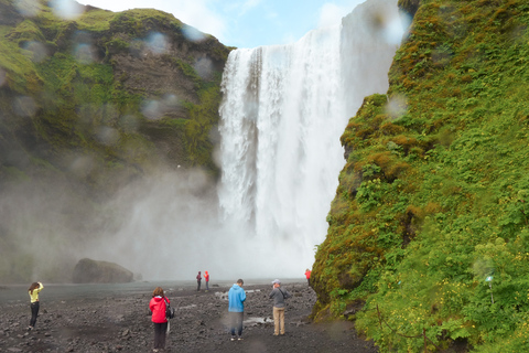 Vanuit Reykjavik: dagtrip naar de zuidkust