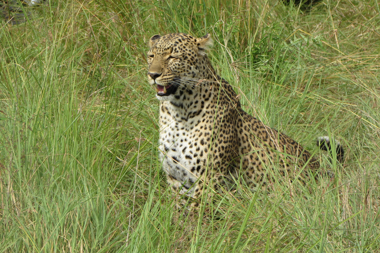 Arusha: 5-Day Safari to Tarangire, Lake Manyara, and …