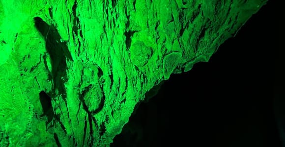 Alicante: Canelobre Caves and Busot Tour