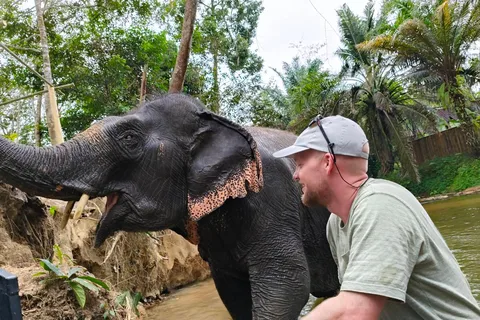 Khao Lak : promenade guidée de 2 heures dans l'écosanctuaire des éléphants