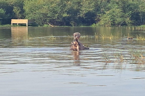 Addis Ababa: 6-Day Abijata Shalla NP & Bale Mountains Tour