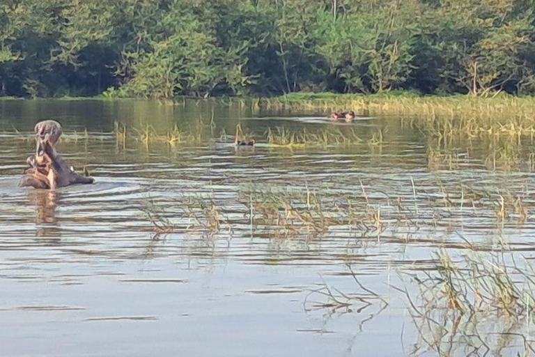 Addis Ababa: 6-Day Abijata Shalla NP & Bale Mountains Tour