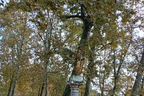 Ljubljana: Excursão a pé pelo centro da cidade esperienza tempo/storia.