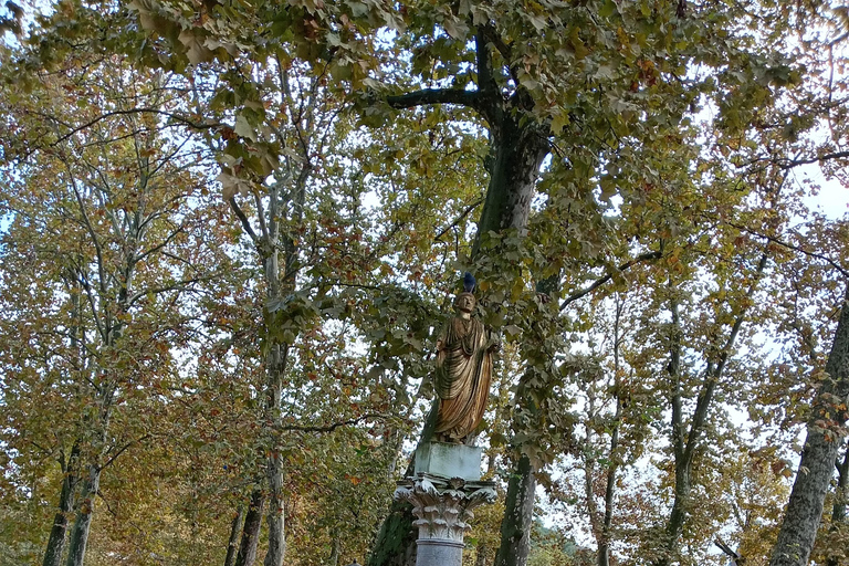 Lubiana: Tour della città a piedi esperienza tempo/storia.