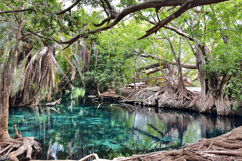 1 Day Private Cultural tour to Materuni Waterfalls & Chemka