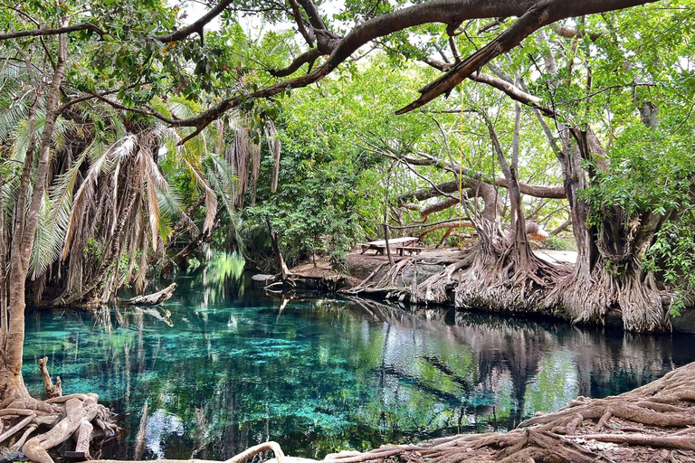 1 Day Private Cultural tour to Materuni Waterfalls & Chemka