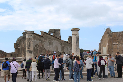 From Naples: Pompeii and Vesuvius Shuttle w/ Priority Ticket From Naples: Pompeii and Vesuvius with Skip the Line Ticket