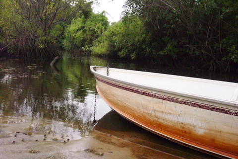 Pantano de Nariva: Experiencia de observación de monos