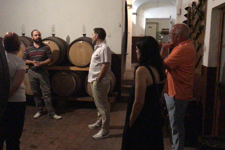 Desde Florencia: tour privado de Chianti Rufina y degustación de comidaChianti Rufina: tour privado y degustaciones de productos locales