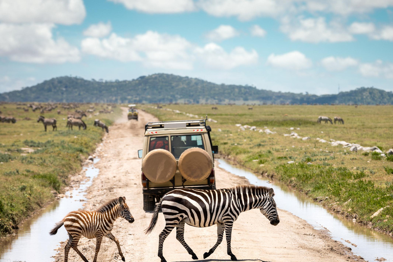 8-DAYS WILDEBEEST MIGRATION RIVER CROSSING AT SERENGETI Guided Tour