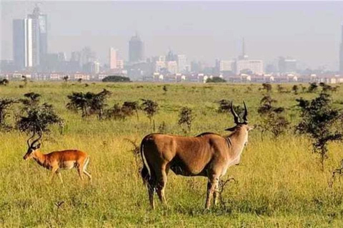 Nairobi: National Park Game Drive mit Abholung vom Hotel