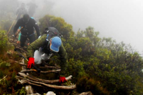 Rwanda 1 Day Mount Sabyinyo Hiking Adventure
