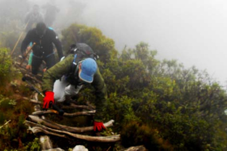 Rwanda 1 Day Mount Sabyinyo Hiking Adventure