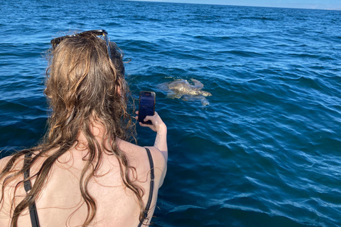Puerto Escondido: Bootstour zu Delfinen und MeerestierenPrivate Tour