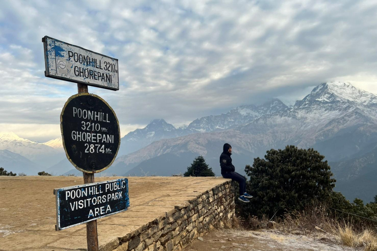 Från Pokhara: 4-dagars Poon Hill Trek med transfer