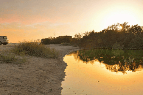Doha : North of Qatar & Heritage Tour UNESCO Sites Mangroves