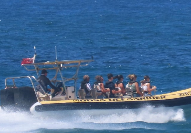 Noosa: Ocean Adventure Tour