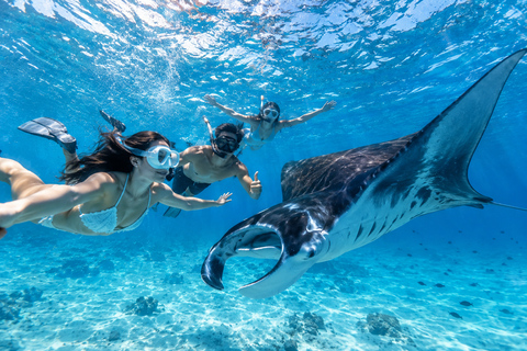 Labuan Bajo: Komodo Full Day Tour & Snorkeling with All Fees