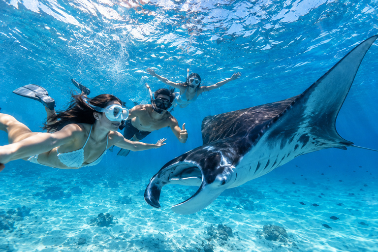 Labuan Bajo: Komodo Full Day Tour & Snorkeling with All Fees