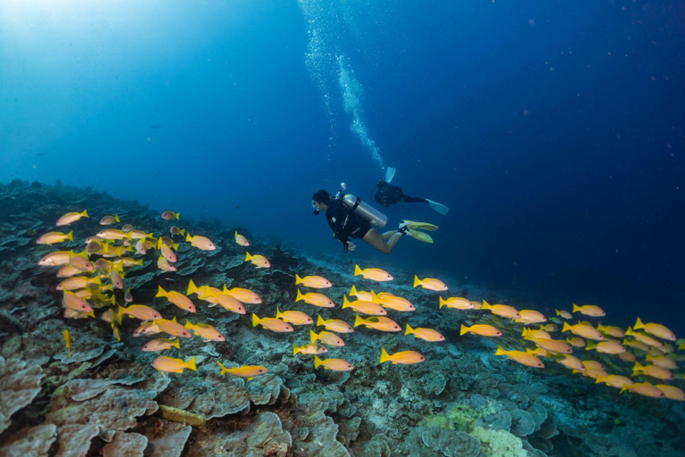Similan 2Day-1Night Onboard MV Koon Scuba Dive or Non-Dive From Phuket Similan MV Koon Scuba with Dive - Sharing Room