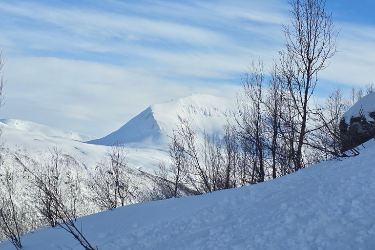 Tromsø: Fjellheisen Local Guided Hike