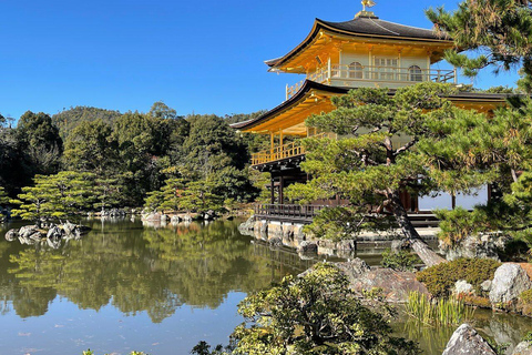 Tokyo One Day Customizable Trip With English speaking Driver