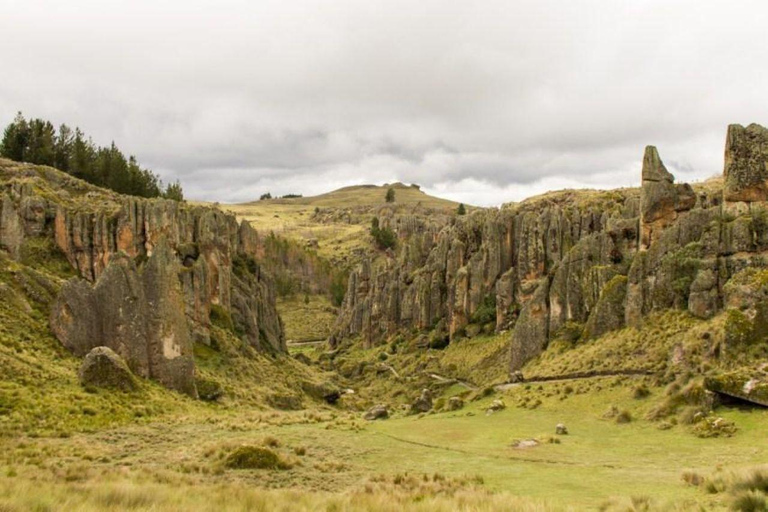 Cajamarca: Sexemayo Nature Tour & Forest Walk Cajamarca: Sexemayo Nature Tour – English Guide