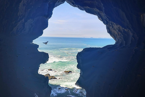 Tangier Quad, Cap Spartel, Hercules Caves & Dinner Tour Pack