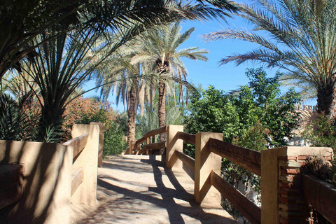 In the footsteps of Star Wars in Tunisia: 3-day tour from Djerba