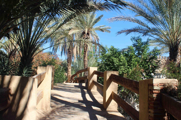 In the footsteps of Star Wars in Tunisia: 3-day tour from Djerba