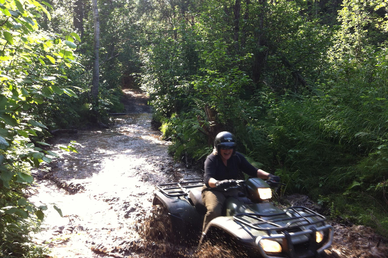 Bird Creek: Chugach State Park ATV Nature Tour & Hike Afternoon Adventure - Single ATV