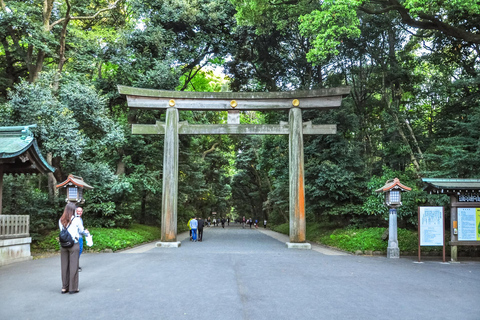 ¡Excursión de un día a Tokio! Tour privado personalizable con guías expertosRecorrido de 7 horas