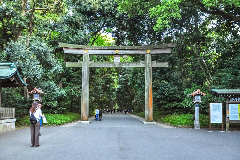 Excursion d&#039;une journée à Tokyo ! Visite privée personnalisable avec des guides expertsCircuit de 7 heures